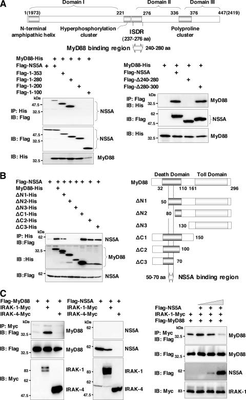 FIG. 6.