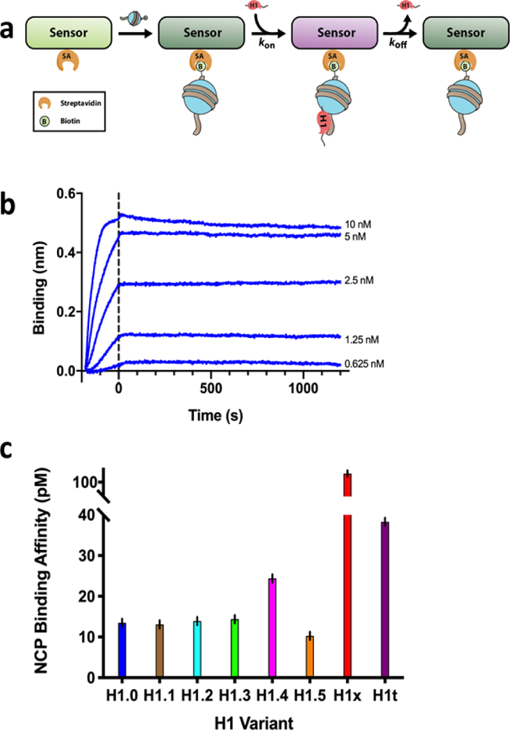 Figure 2: