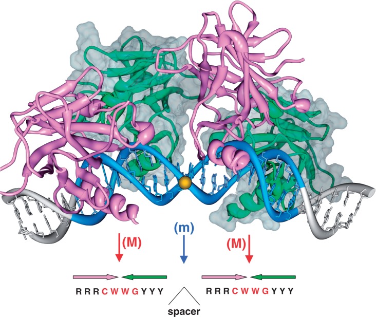 Figure 1.