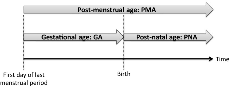 Fig. 6