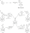 SCHEME 23