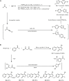 SCHEME 6