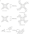 SCHEME 25