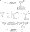 SCHEME 20