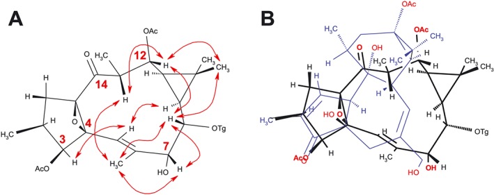 Figure 10