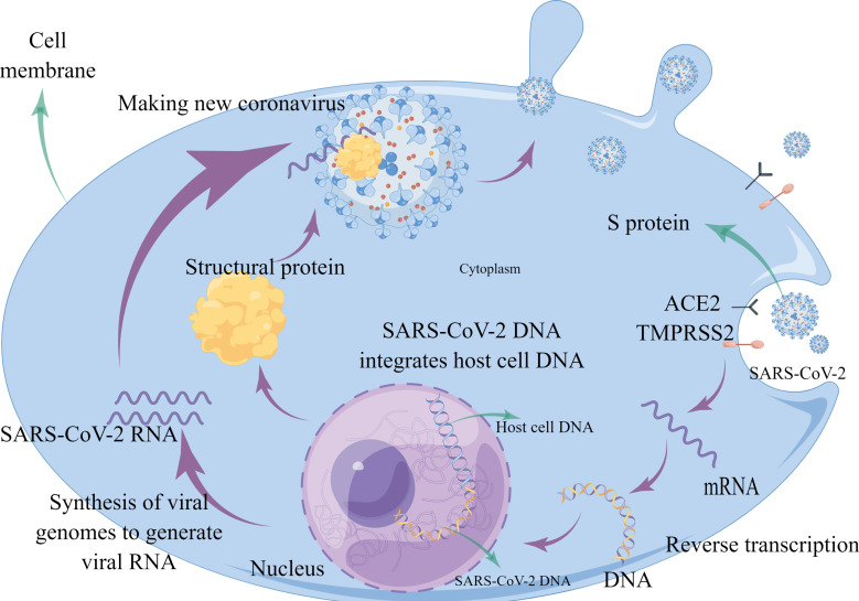 Figure 1