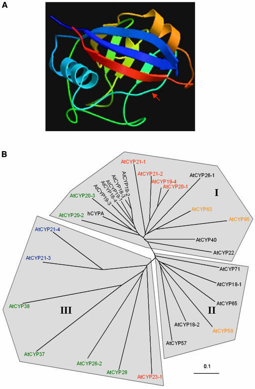 Figure 3.