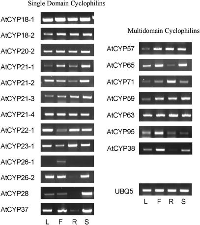 Figure 4.