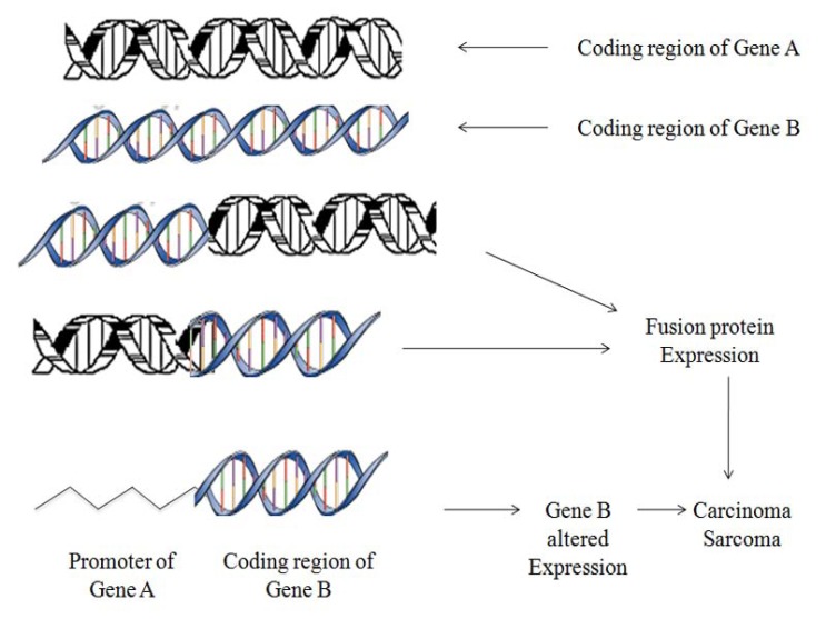 Fig. (1)