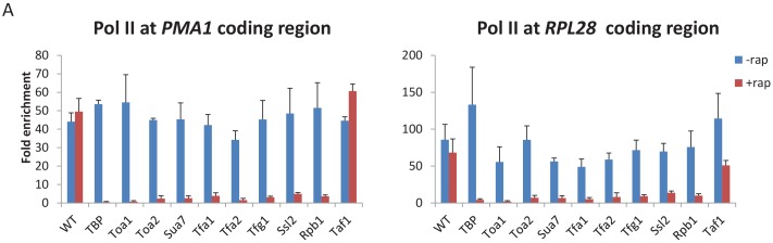 Figure 1—figure supplement 1.