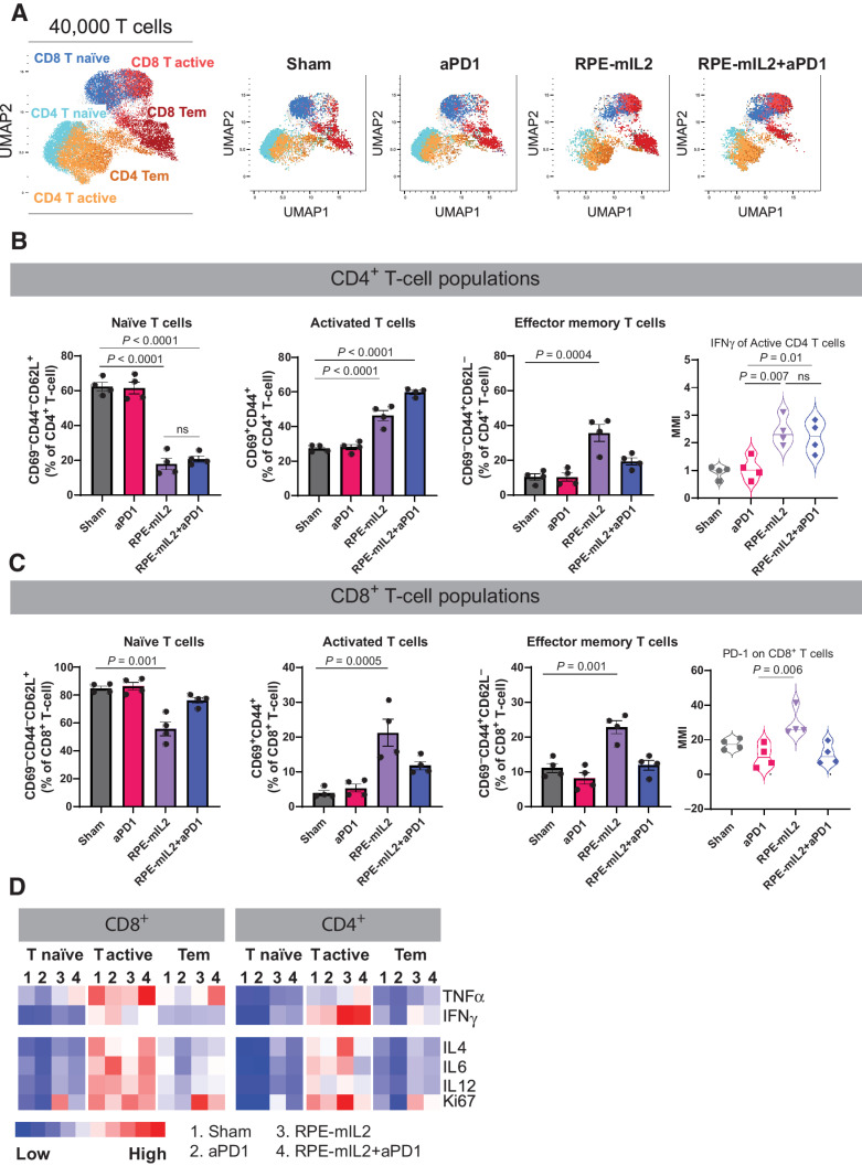 Figure 4. Alteration of T-cell subsets after RPE-mIL2 or RPE-mIL2+aPD1 therapy. A, UMAP of specific T-cell subsets analyzed in this study. B, Comparison of naïve, activated, or effector memory CD4+ T cells across treatment groups. Expression of IFNγ among activated CD4+ T cells across treatment groups. C, Comparison of naïve, activated, or effector memory CD8+ T cells across treatment groups. Expression of PD-1 among activated CD8+ T cells across treatment groups (n = 4 per group). D, Heatmap of relative TNFα, IFNγ, IL4, IL6, IL12 and Ki67 expression across each group. P values were acquired using one way ANOVA with Holm–Sidak method for multiple comparisons, ns = not significant.