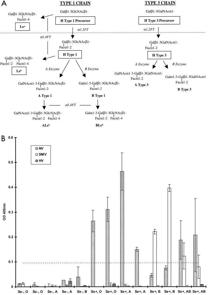 FIG. 2.