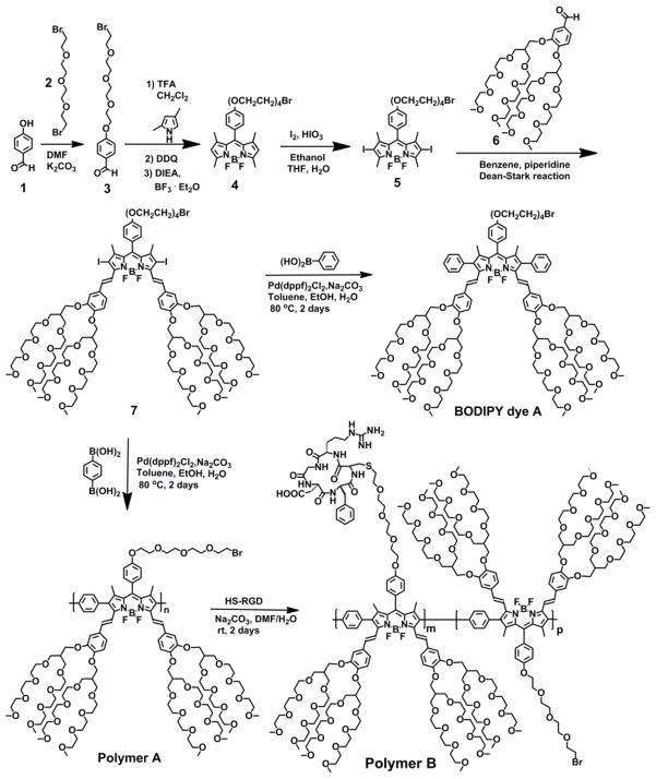 Scheme 3