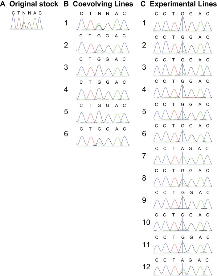 Figure 3—figure supplement 2.