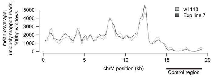 Figure 3—figure supplement 1.