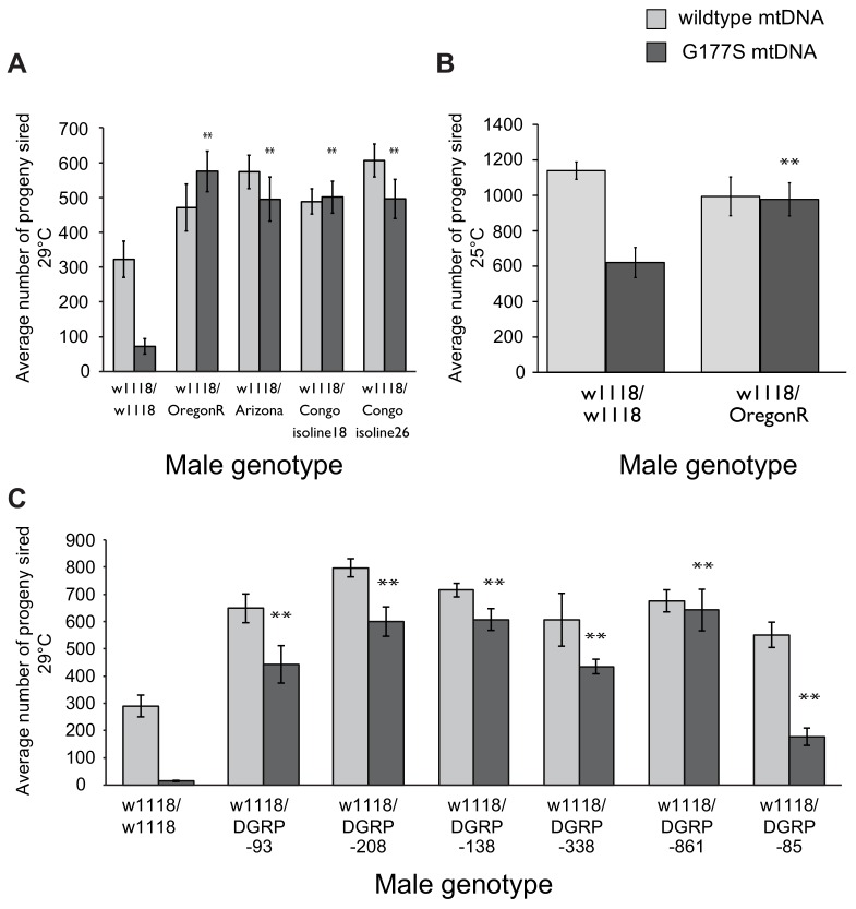 Figure 9—figure supplement 1.