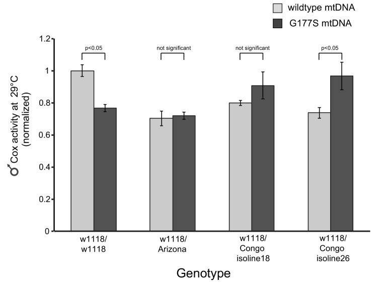 Figure 10—figure supplement 2.