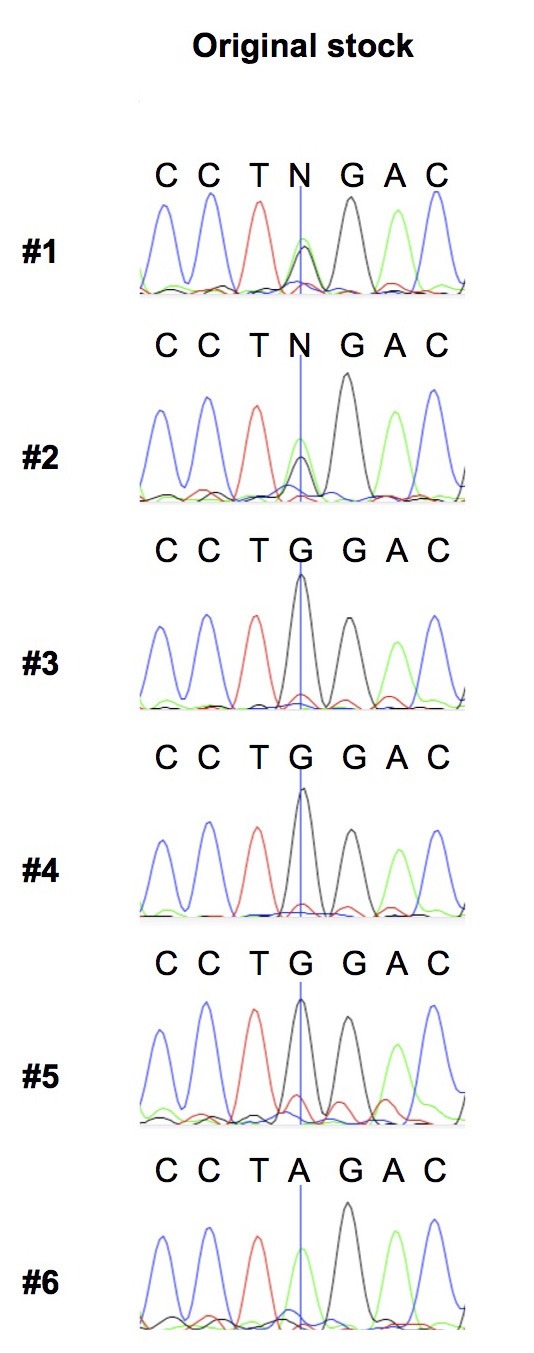 Figure 3—figure supplement 3.