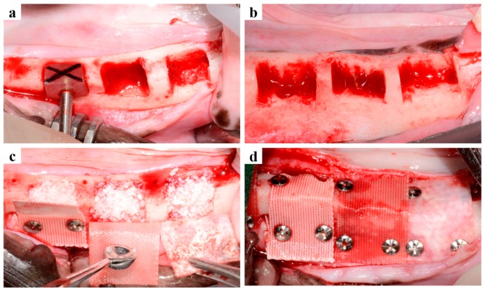 Figure 6