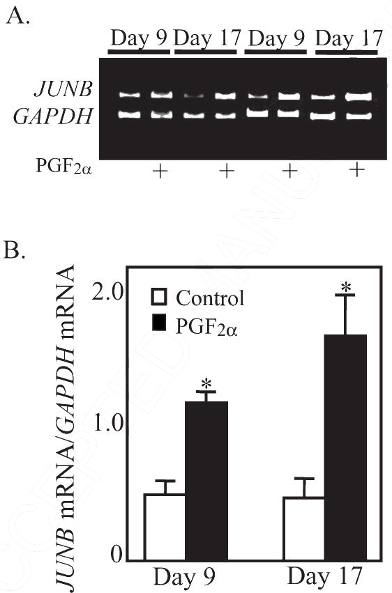 Figure. 3