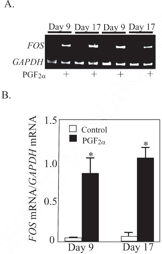 Figure. 1