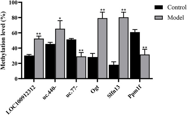 FIGURE 4