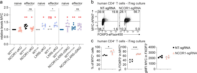 Figure 7—figure supplement 3.