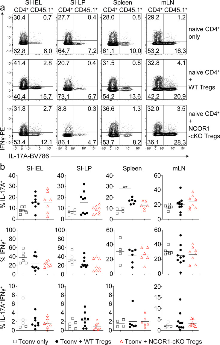 Figure 5—figure supplement 1.