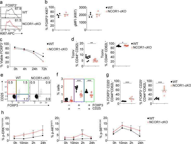 Figure 1—figure supplement 2.