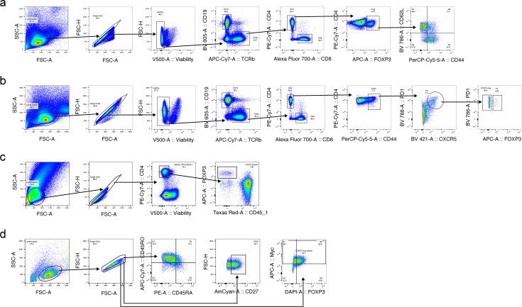 Figure 1—figure supplement 3.