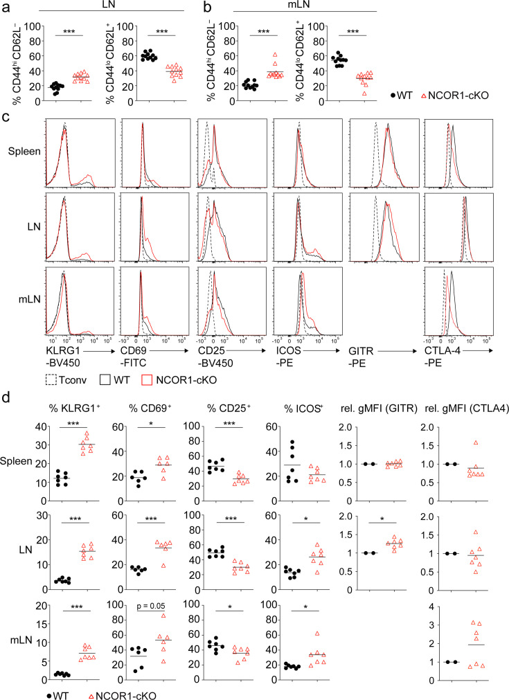 Figure 1—figure supplement 1.