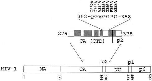 FIG. 1.