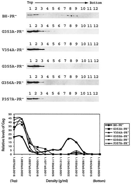 FIG. 5.