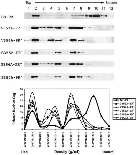 FIG. 6.