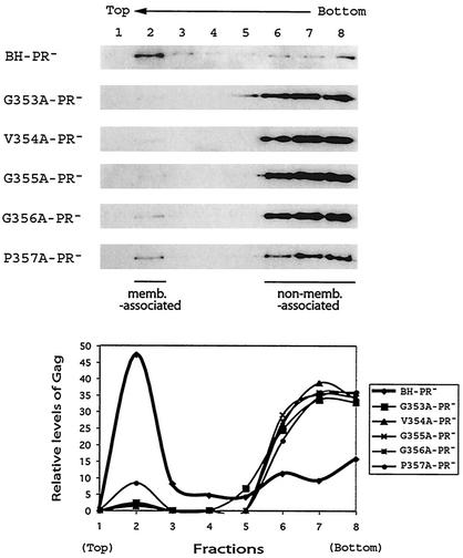 FIG. 8.