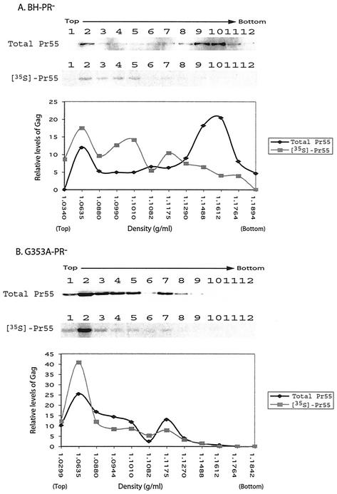 FIG. 7.