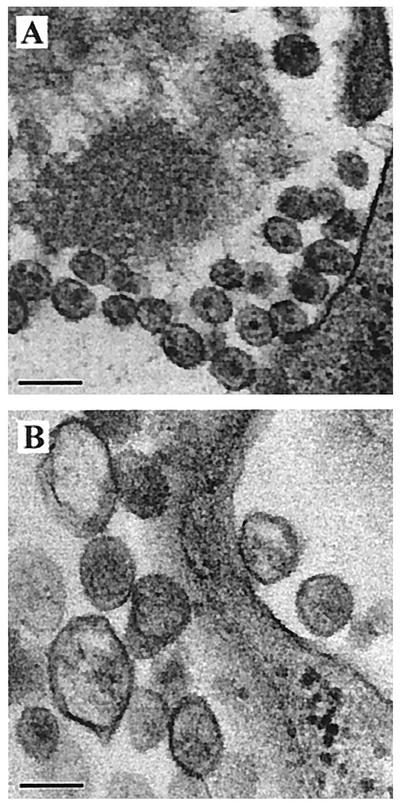 FIG. 10.