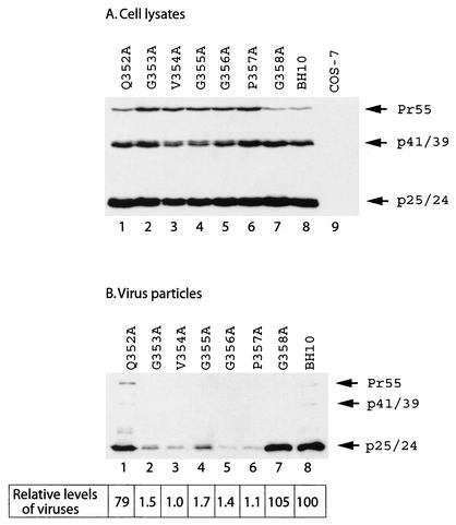 FIG. 2.