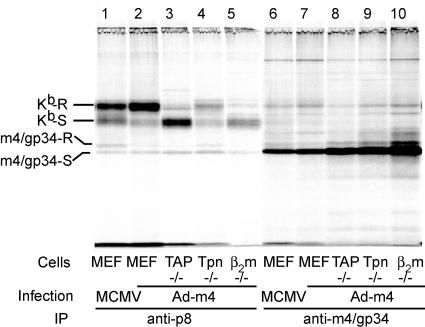 FIG. 6.