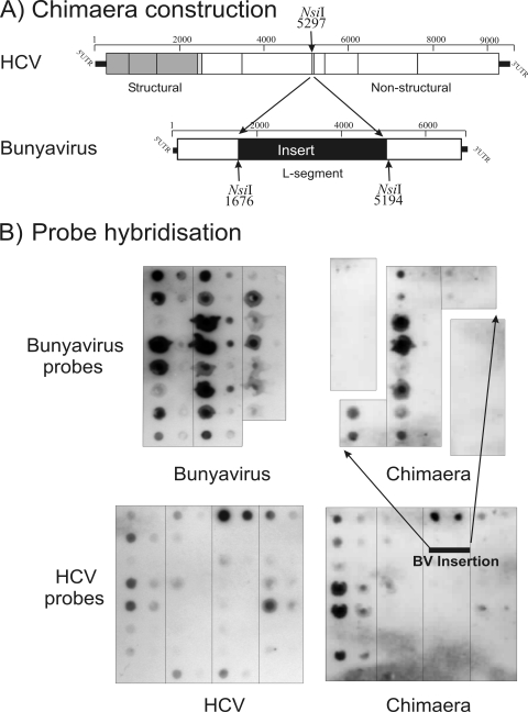 FIG. 6.