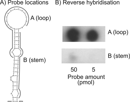 FIG. 4.