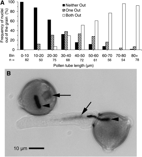 Figure 10.