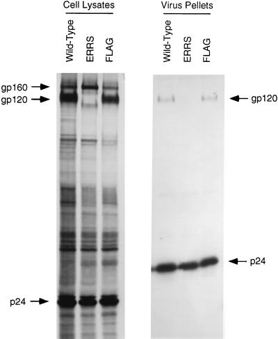 FIG. 8