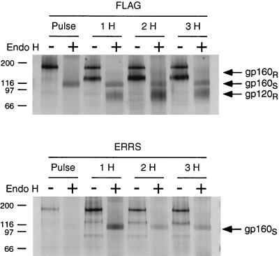 FIG. 5