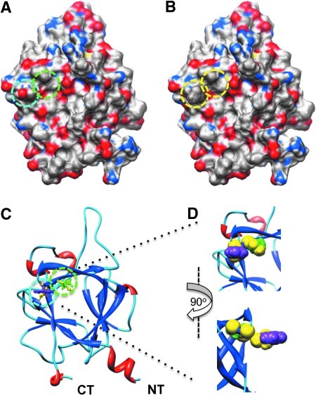 Fig. 2.