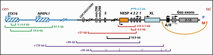 Figure 2.