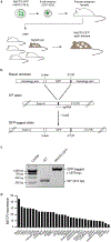 Extended Data Figure 2.