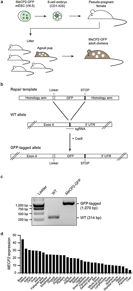 Extended Data Figure 2.