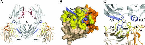 Fig. 2.