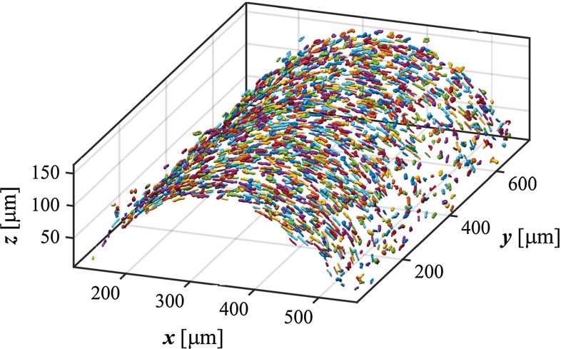 Fig. 2